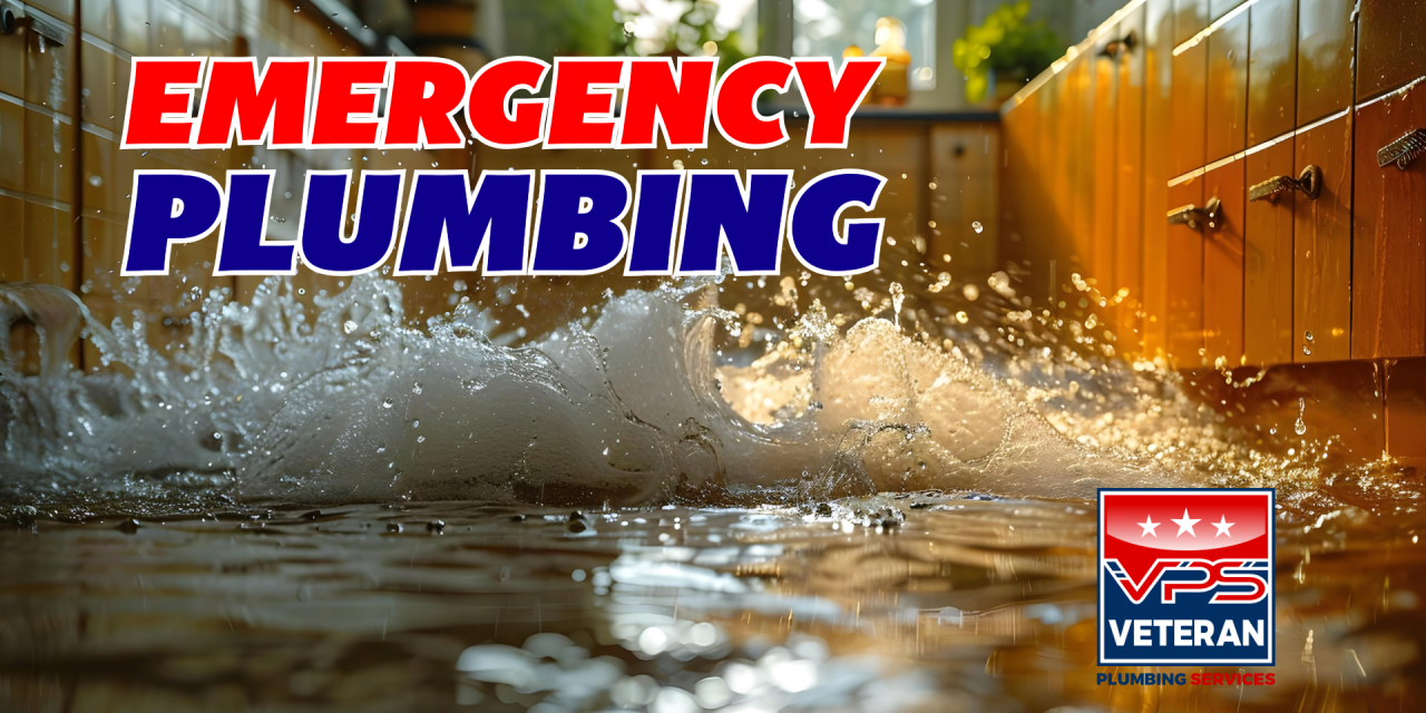 Emergency Plumbing: A Guide from Your Woodbridge, VA Local Plumber