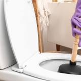 Causes of clogged drains, Common drain blockages, Preventing clogged drains, Hair causing drain clogs, How to fix clogged drains, Drain cleaning tips, Soap scum in pipes, Food waste in drains, Tree roots in sewer lines, Plumbing maintenance tips