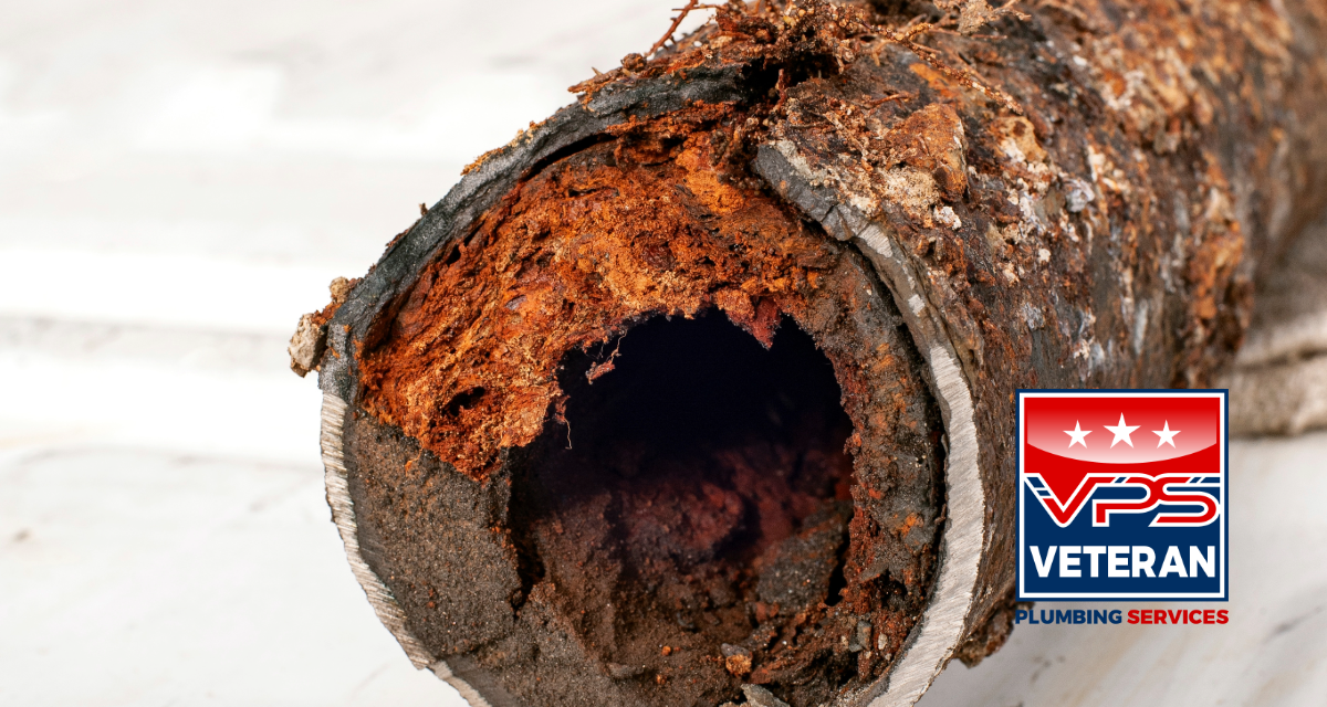 Understanding Sewer Line Issues